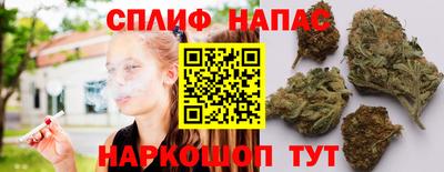 индика Кунгур