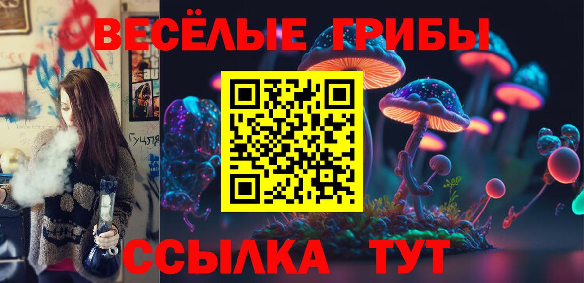 Киров  Псилоцибиновые грибы мицелий  Вход с VPN 